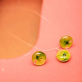 Set minitopos y dije con flores naturales