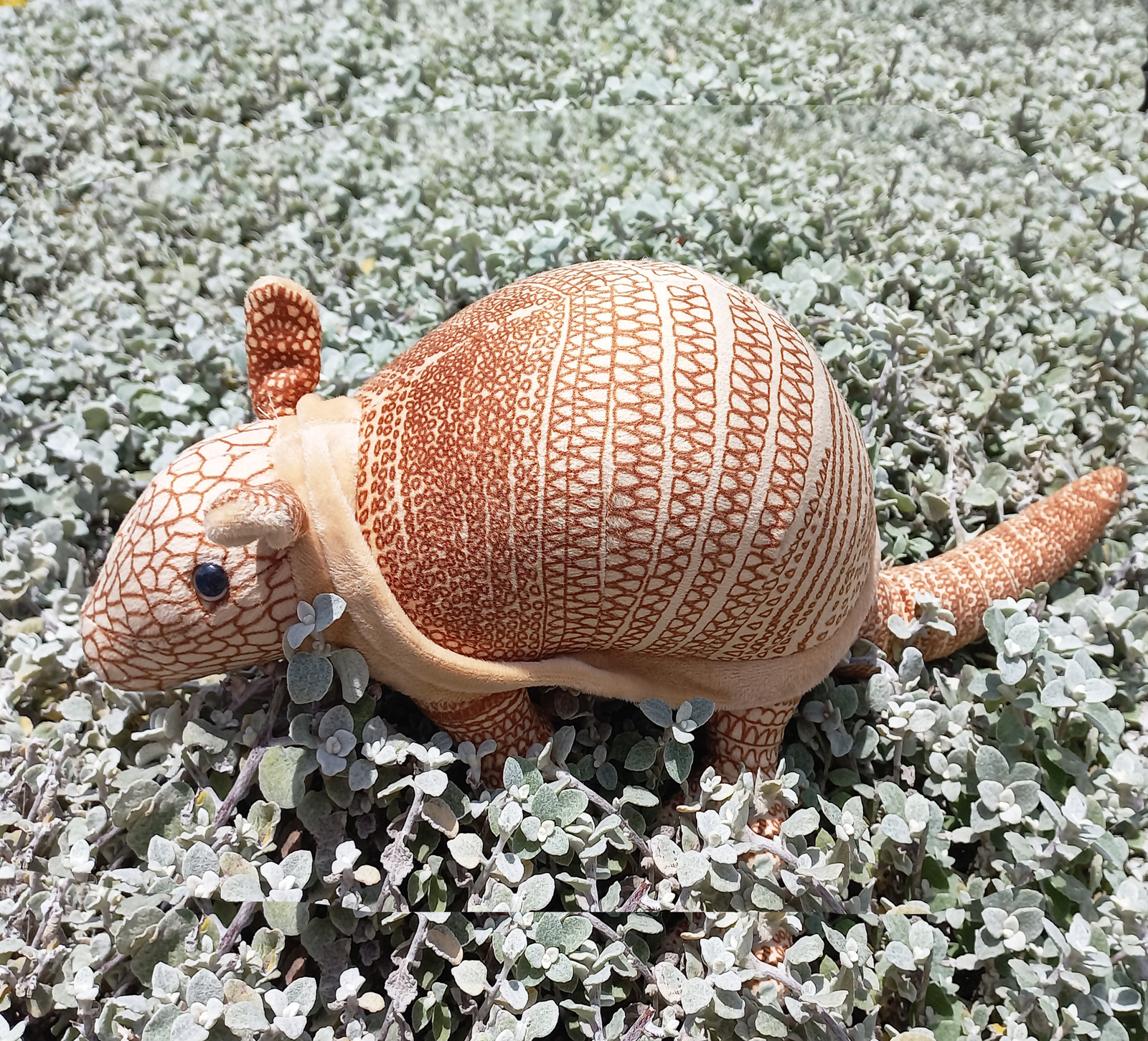 Armadillo peluche online