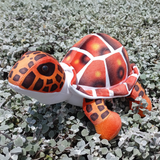 Peluche Tortuga Morrocoy