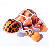 Peluche Tortuga Morrocoy